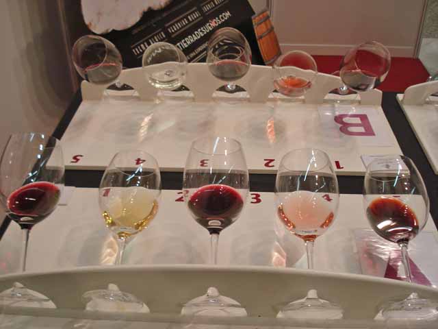 Fase visual de análisis de vinos