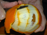 La corteza de una naranja
