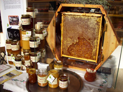 Stand de miel ecológica