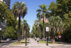 Boulevard Oroño