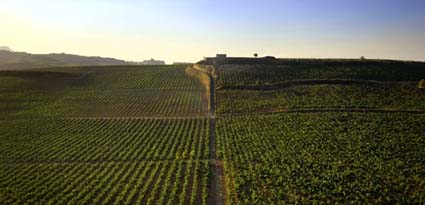 Vista de Viña Tondonia. Foto: lopezdeheredia.com
