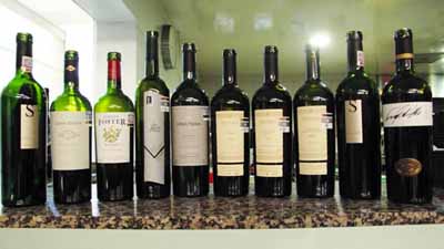 Vinos tintos Premium de Argentina