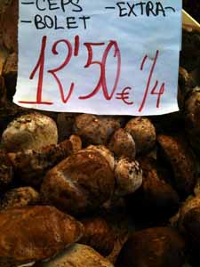 Boletus