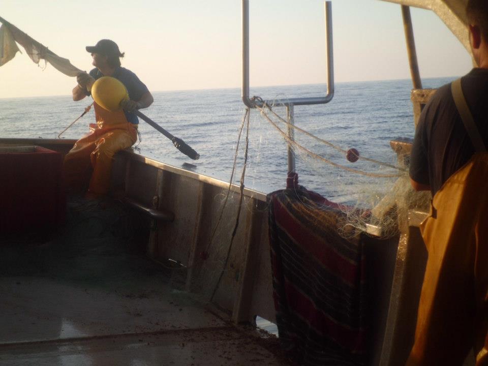 Hechando el gallo o baliza de la red de trasmallo al mar