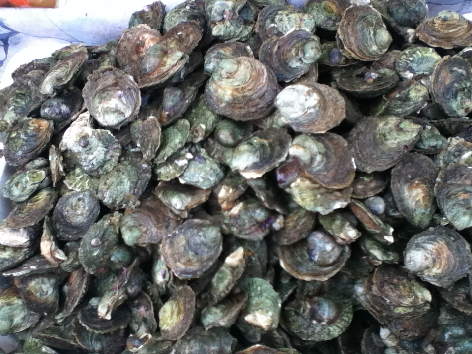 Ostras en el mercado de Puerto Montt