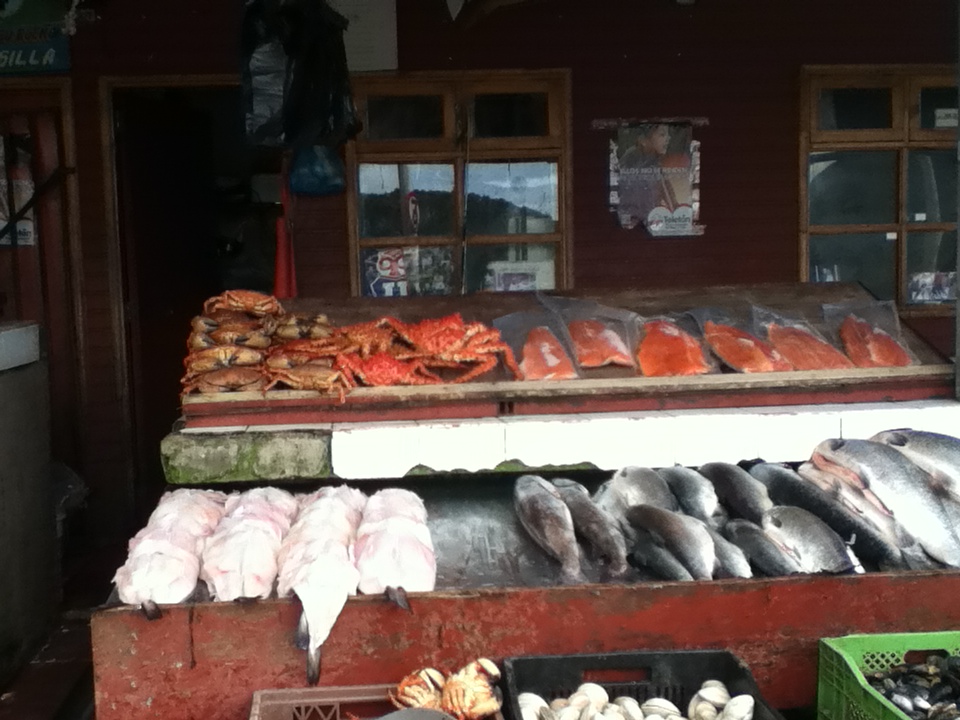 Parada de pescados en Puerto Montt