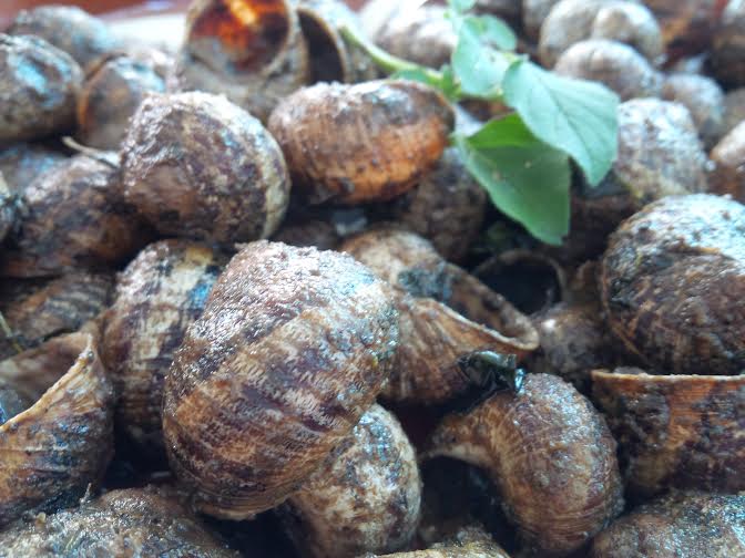 Caracoles Fritos