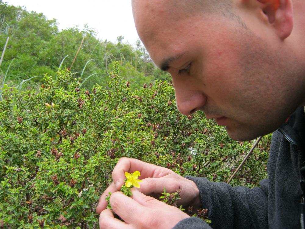 Cientos de diferentes tipos de flores que relumbran la bodega