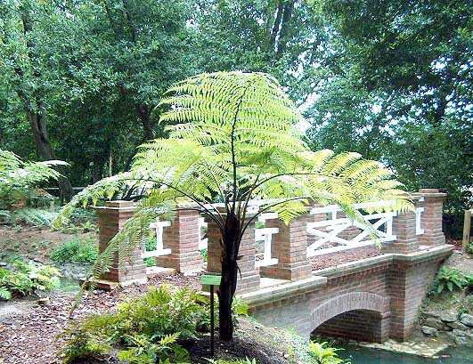 Botánico