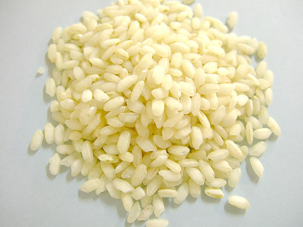 arroz arboreo