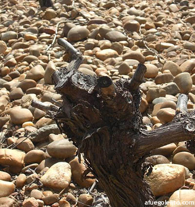 Terreno con cantos rodados