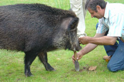 Acaba de encontrar una