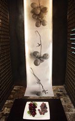 Exposición de Olores y sabores