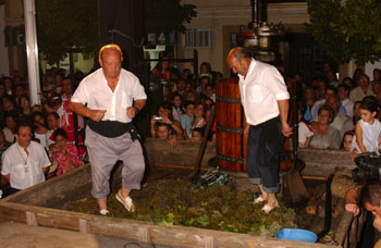 Pisando la uva