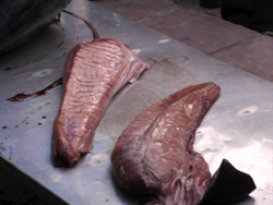 Huevas de atún