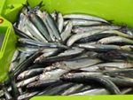 Se puede hacer con boquerones