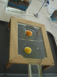 Comparativa de un huevo ecológico y otro convencional