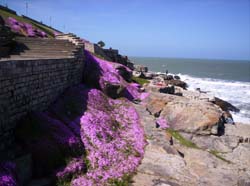 Acantilados de playa chica en primavera