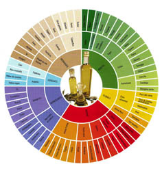 Rueda para identificar los aromas del aceite