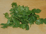 Las hojas de cilantro