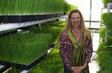 Beverley Pugh con germinado de trigo en un vivero