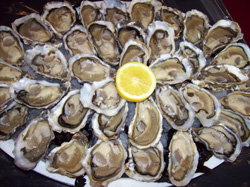 Plato de ostras