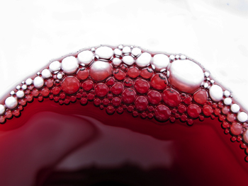 Burbujas dentro de una copa de vino. Foto: Roberto Quaas