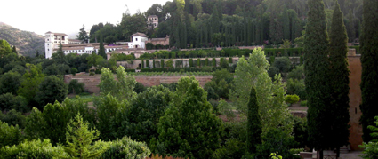 Cena con vista al Generalife