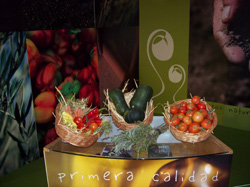 Foto de la huerta en casa