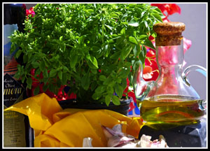 Albahaca. Foto cedida por Miguel J. Jordá