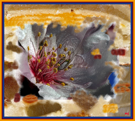 Mazapán. Foto cedida por Miguel J. Jordá