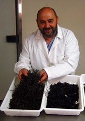 Antonio Muiños