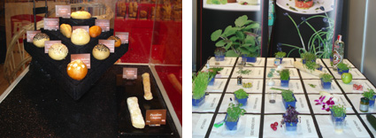Muy seductores estaban los productos de Berlys y Koppert Cress, dos habituales de las ferias
