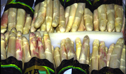 Espárragos blancos. Foto cedida por Miguel J. Jordá