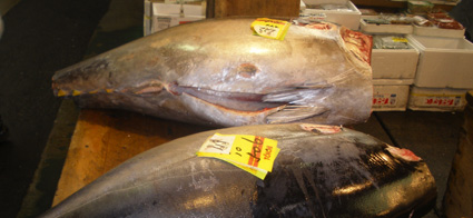 Atunes en el mercado de Tsukiyi