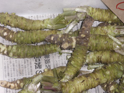 Wasabi en un puesto del mercado de Tsukiyi