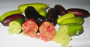 Finger Lime, del catálogo de Daleys Fruit