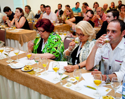 Cata de aceite ecológico en el I Foro de Restauración Ecológica