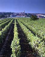 Velke Bilovic, Moravia del Sur