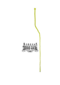 1er Premio 2007, de Thomas Pion