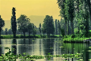 Chinampa en Xochimilco