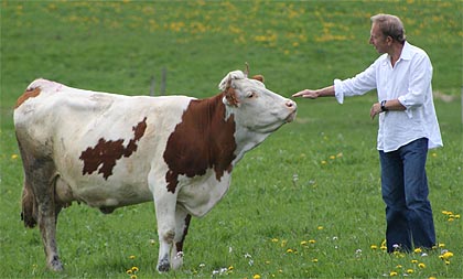 Will Studd (imagen de Michael Robinson)