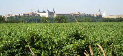 Viñedos de Lerma con el Parador de fondo