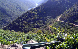 Las tierras de la Ribeira Sacra