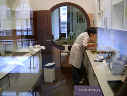 Laboratorio para el análisis de cepas