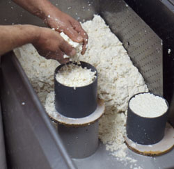 Leche cuajada