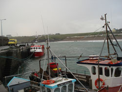 Barcos pesqueros. Foto: CdM