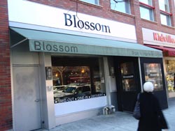 Blossom Cafe