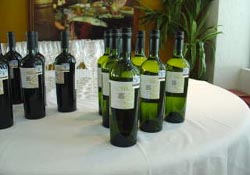 Vinos Tacora (tinto y blanco), de Chile