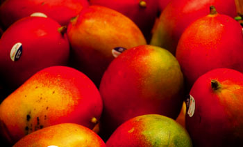 Mangos. Foto cedida por Miguel J. Jordá